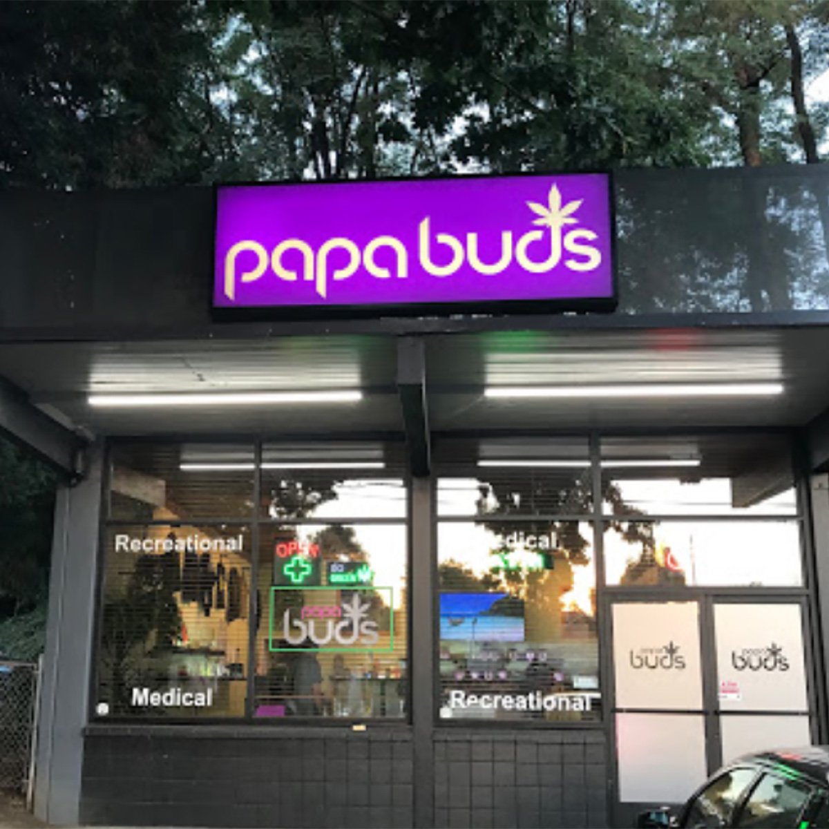 Cannabis Concentrates | Papa Buds